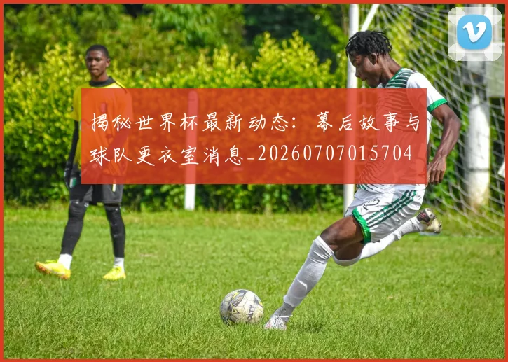 揭秘世界杯最新动态:幕后故事与球队更衣室消息_20260707015704