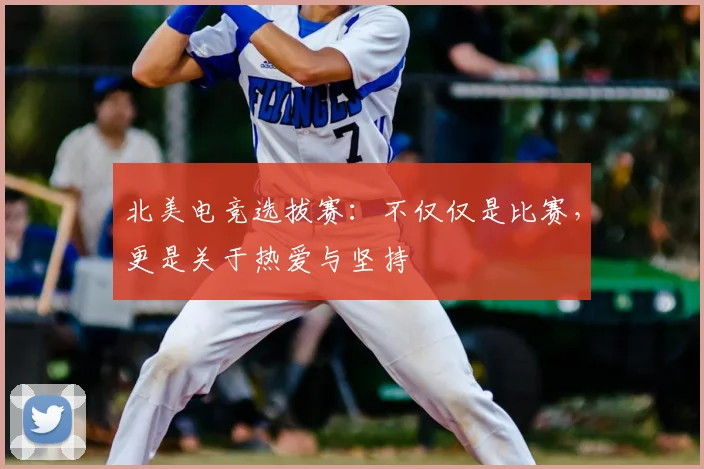 北美电竞选拔赛:不仅仅是比赛,更是关于热爱与坚持